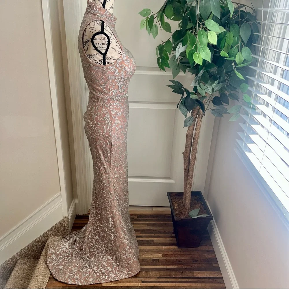 Portia & Scarlett Embellished High-Neck Halter Mermaid Gown Pink Silver Sz S - Picture 9 of 16